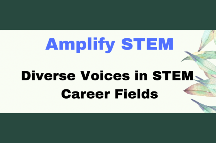 Amplify STEM; Diverse Voices in STEM Fields