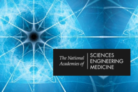 National Academy of Science, Engineering and Mathematics logo