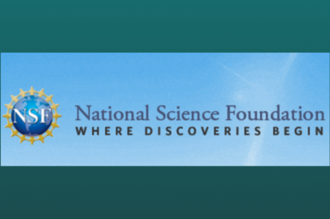 NSF logo and title 