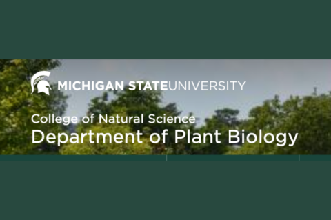Michigan State University, Department of Plant Biology