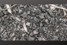 Photo of biochar, a charcoal-like substance used in sustainable farming